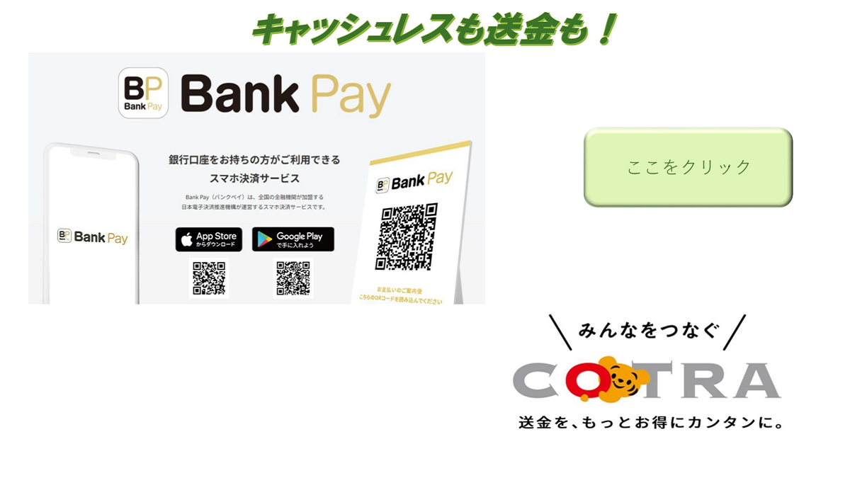 Bank Pay